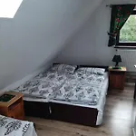 U Misia * Niedźwiedź