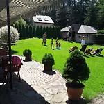 U Misia * Niedźwiedź