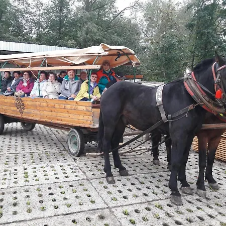 ファームステイ U Misia Niedźwiedź