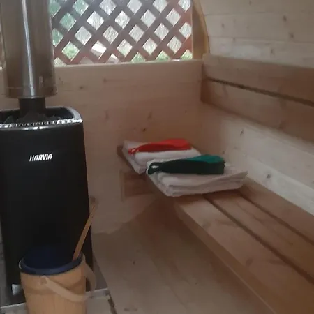 U Misia Niedźwiedź