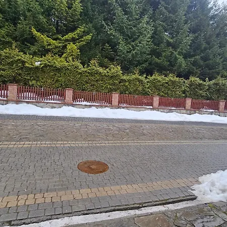 U Misia * Niedźwiedź