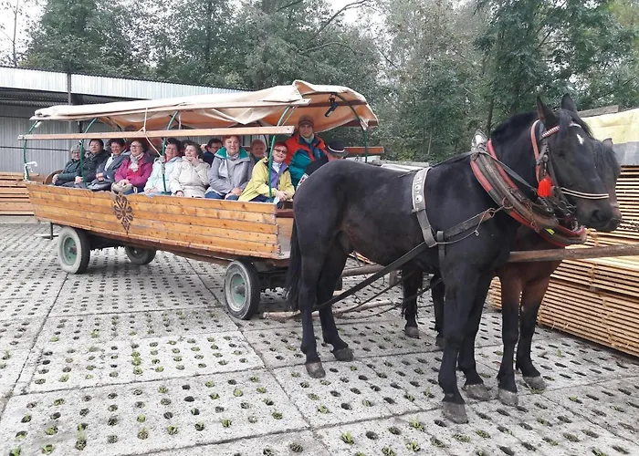 农家乐 U Misia Niedźwiedź